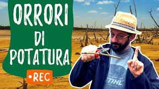 POTATURA: errori e orrori (con PIETRO ISOLAN)