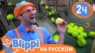 Как устроена Яблочная Фабрика | Изучай этот мир вместе с Блиппи | Blippi Russian