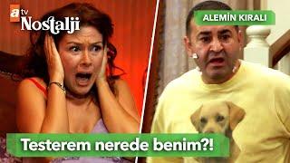 Yetişin hırsız var!! - Alemin Kıralı 1. Bölüm