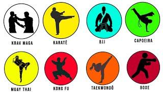 Todas as PRINCIPAIS Artes Marciais em 3 minutos