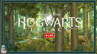 MEIN ERSTER TAG IN DER NEUEN SCHULE - HOGWARTS LEGACY - PC LET'S PLAY - DEUTSCH - LIVE