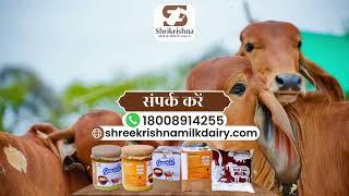 Best A2 Cow Milk Supplier in Pune | Desi Cow Ghee Supplier in Pune | A2 Cow Milk