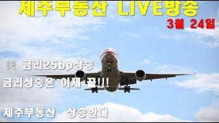 [LIVE]제주부동산 실시간방송. 금리인상의 끝이 보인다. 부동산 오르는 곳만 오른다. 부동산상승전망보는 이유 #제주땅값 #제주도투자 #제주토지매매 #제주주택매매