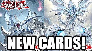 MORE NEW BLUE-EYES WHITE DRAGON CARDS! Link Monster!| Yu-Gi-Oh! Structure Deck