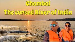 EP-2-The Cursed river of India #chambal  /Encounter with Crocodiles of #chambal river#reptiles