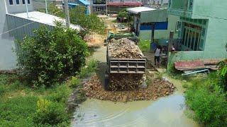 New Project!Filling Land in Area Flood Using Bulldozer D20p KoMat’su with 5Tdump truck Pushing Stone