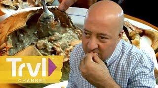 Trying Weird Seafood in the Middle of Spain! | Bizarre Foods with Andrew Zimmern | Travel Channel