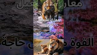 معارك تشغيل الدماغ القوة مش كل حاجه#shorts #عالم_الحيوان