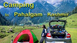 Night Camping in Pahalgam Kashmir | Camping in Aru Valley Pahalgam | Pahalgam Kashmir in Summer