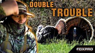 Double Trouble Longbeards - Kentucky Turkey Hunting