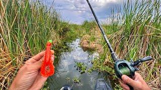Imposible NO PESCAR con este Señuelo en Lagunas!