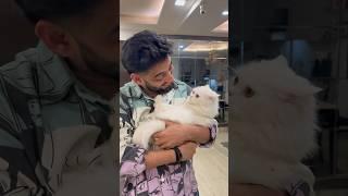 Rani  Goa Jaegi  #ashortaday #tranding #minivlog #cat #viralshort