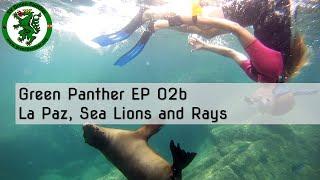 GP EP02b "Viva Mexico" part B - La Paz, Sea Lions and Rays