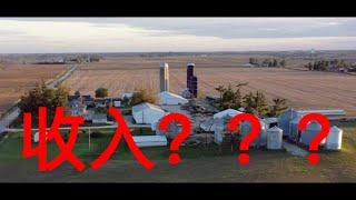 What is the American farmer's home like and what is the income from farming?