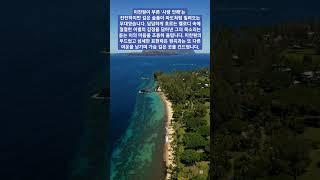 이찬원의 ‘사랑 안해’는 담담한 듯하지만 깊은 이별의 아픔을 전하는 무대입니다. 절제된 감정 속에서 스며 나오는 애절함이 듣는 이의 마음을 조용히 적십니다.