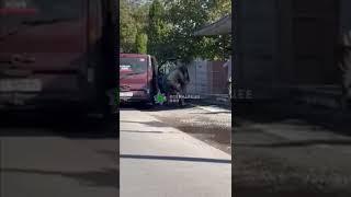 Военкомы продолжают воровать людей на улице