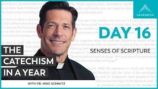 Day 16: Senses of Scripture — The Catechism in a Year (with Fr. Mike Schmitz)