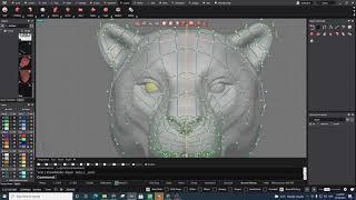 Tiger Head designed in MatrixGold -Speed Modeling