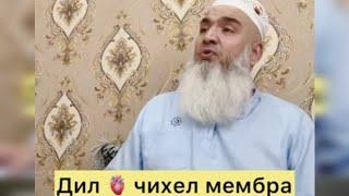 ДИЛ ЧИХЕЛ МЕМБРА Мавлави Бохтари