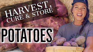 Storing Your Garden Potatoes for Winter - Harvest, Cure & Store for Long-Term Storage