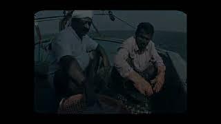 NETFISH Documentary- Hygienic handling of fishes onboard Part 2