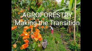 The Agroforestry Tipping Point.  The ecosystem starts working. Costs go down, rewards go up. How?