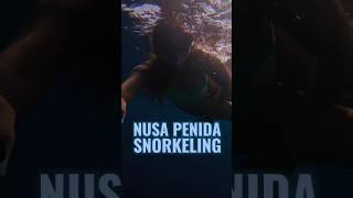 Snorkeling Nusa Penida Bali