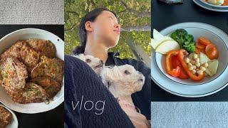 vlog. 일주일 건강하게 배 채우기 ! 매일 채소 먹고 고기도 종류별로 먹고· 。*  직장인 브이로그