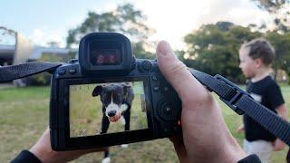 Canon R5 Mark ii Animal Eye Autofocus Test: How well does it track?