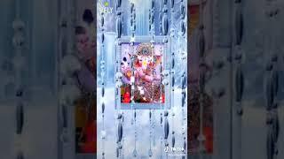 Tejal studio phalodi song