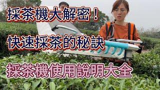 採茶機大解密! 茶農能夠快速省力的採茶法寶 給你最健康、最有品質的茶葉 #採茶機 #電動採茶機 #魔力牌 #電動工具 #電動割草機 #茶 #烏龍茶 #高山茶 #綠茶 #teaharvester