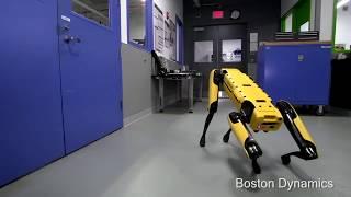 Робот SpotMini Boston Dynamics открывает двери своим друзьям