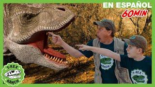 ¡Búsqueda de la madre T-Rex gigante de tamaño natural! | Videos de dinosaurios y juguetes para niños