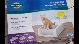 Scoop free litter box