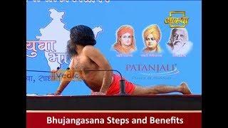 Health Benefits of Cobra Pose (Bhujangasana) | Swami Ramdev