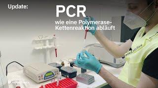 Update: PCR – how a polymerase chain reaction works