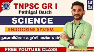 TNPSC SCIENCE | ENDOCRINE SYSTEM | POTHIGAI BATCH - GROUP I | TAF IAS ACADEMY