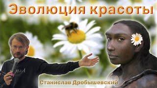 Эволюция красоты - Станислав Дробышевский.