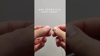 Как привязать шок-лидер к основной леске. Узел Олбрайт. #рыбалка