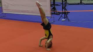 спортивная гимнастика мальчик 6 лет - Челябинск