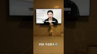 스트릿우먼파이터 극성팬 / YGX 못참아 