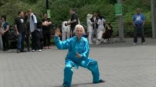 The World Taichi Day Tribute