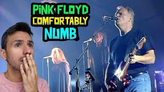 Pink Floyd - Comfortably Numb (REACTION) WRITER REACTS FOR THE FIRST TIME