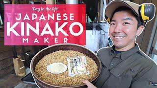 Day in the Life of a Japanese Kinako Maker