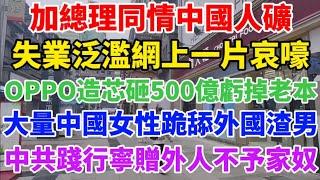 加国总理也看不下去，为中国人矿悲惨境遇发声！失业泛滥网上一片哀嚎！OPPO砸500亿造芯亏掉老本！中国大量女性仍然极度崇洋媚外，甘愿做外国渣男舔狗！中共把留学生当爹，践行“宁赠外人不予家奴”！