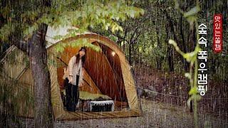 There was heavy rain in the forest  ·Fall rain camping ·Healing rain sound ASMR