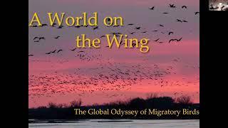 A World on the Wing: The Global Odyssey of Migratory Birds with Scott Weidensaul