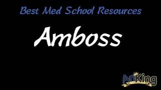 Best Medical School Resources: Amboss