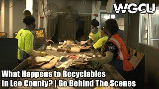 What Happens to Recyclables in Lee County, Florida? | Go Behind The Scenes