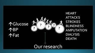 Professor Mark Cooper - The changing face of managing diabetes and its complications